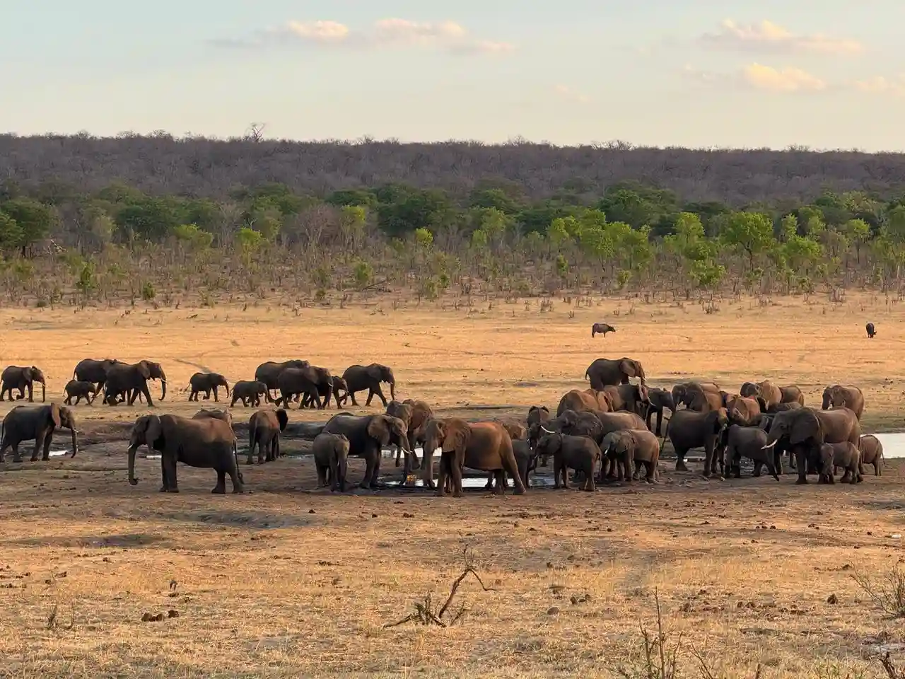 Victoria Falls Activities